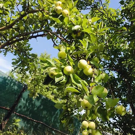 Loft Na Kaszubach - Laskowa Gora Appartement *
