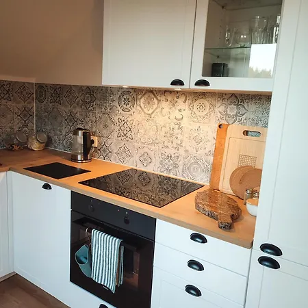 Loft Na Kaszubach - Laskowa Gora Apartment