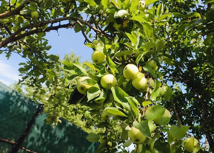 Loft Na Kaszubach - Laskowa Gora Apartment *