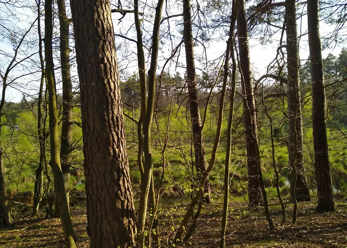 Loft Na Kaszubach - Laskowa Gora * Bieszkowice