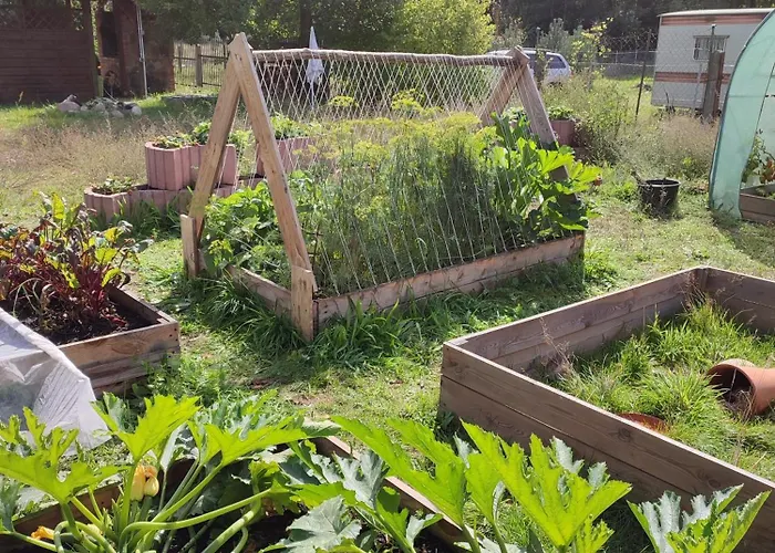 Apartment Loft Na Kaszubach - Laskowa Gora Bieszkowice