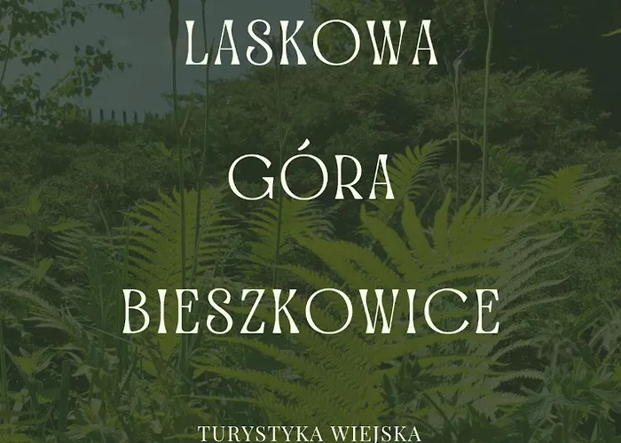 Loft Na Kaszubach - Laskowa Gora